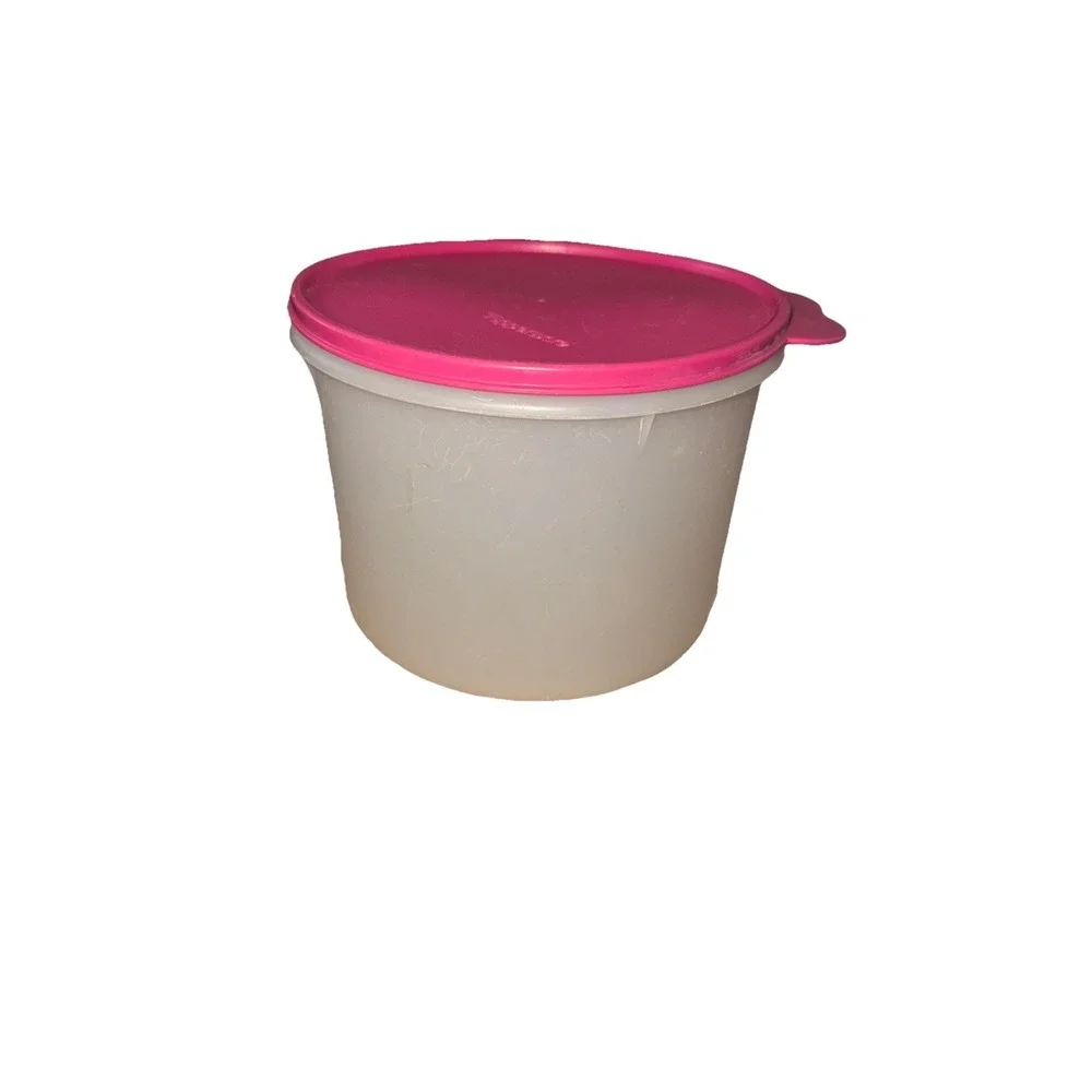 Vintage Tupperware 4 Qt. Tupperware Clear Canister #266 with pink butterfly lid